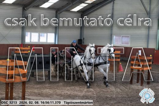 Mintakép 20260208-1431