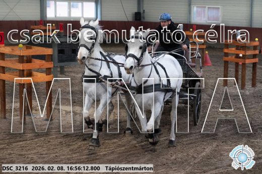 Mintakép 20260208-1434