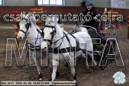 Mintakép 20260208-1435