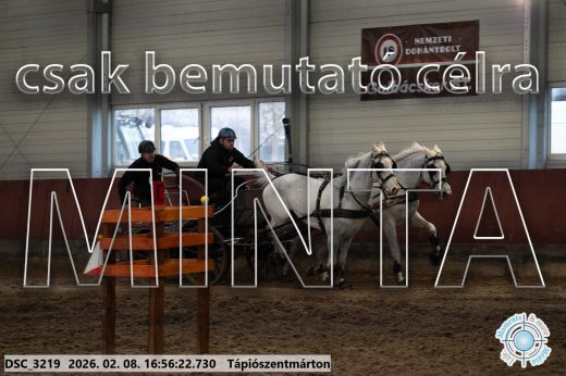 Mintakép 20260208-1437
