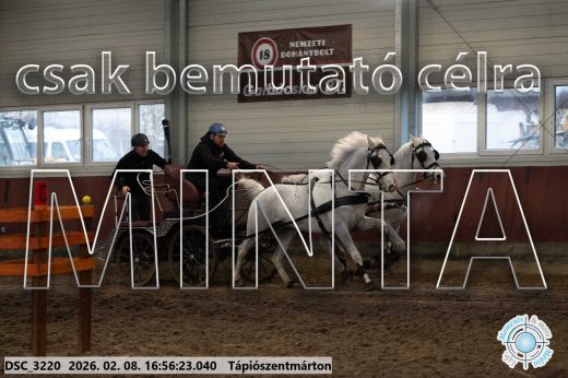 Mintakép 20260208-1438