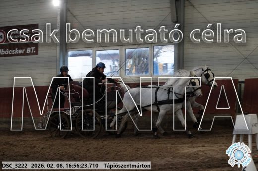 Mintakép 20260208-1440