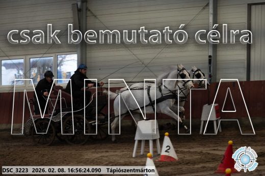 Mintakép 20260208-1441