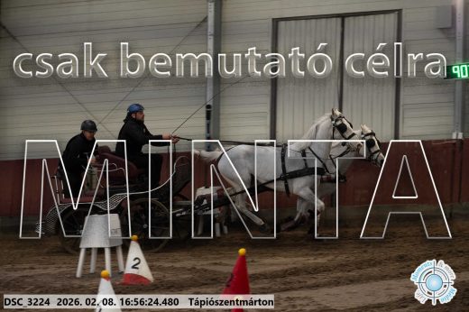 Mintakép 20260208-1442
