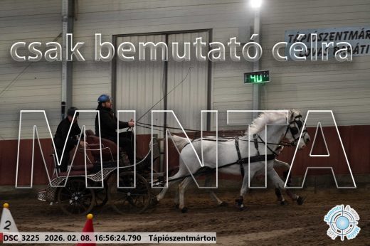 Mintakép 20260208-1443