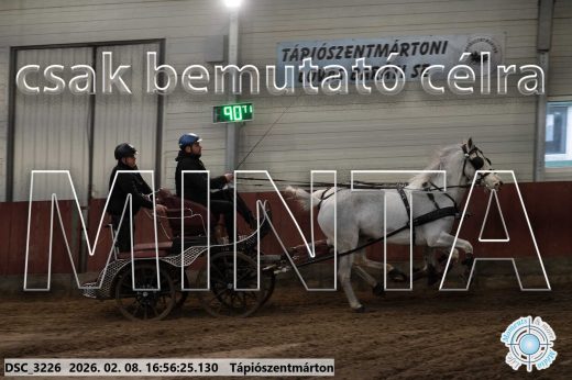 Mintakép 20260208-1444