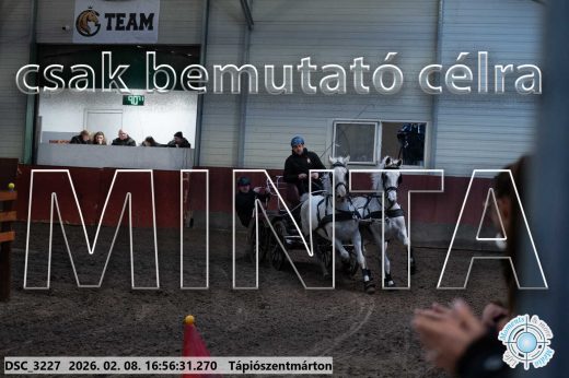 Mintakép 20260208-1445