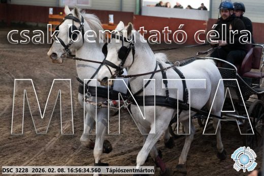 Mintakép 20260208-1446