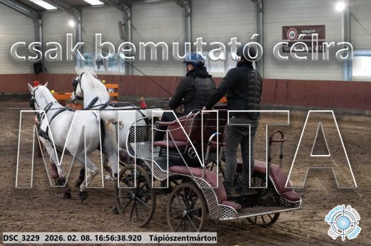 Mintakép 20260208-1447