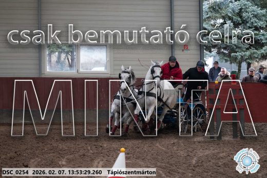 Mintakép 20260207-833