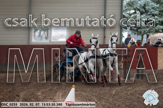 Mintakép 20260207-834