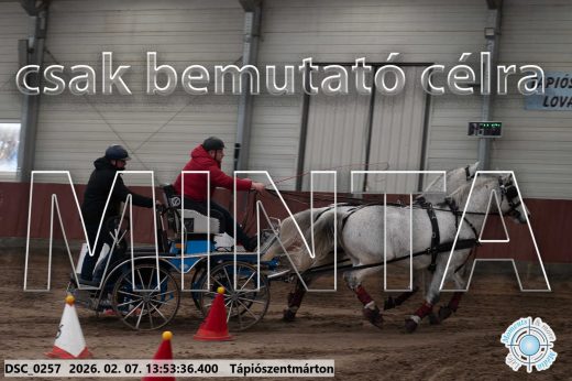 Mintakép 20260207-836