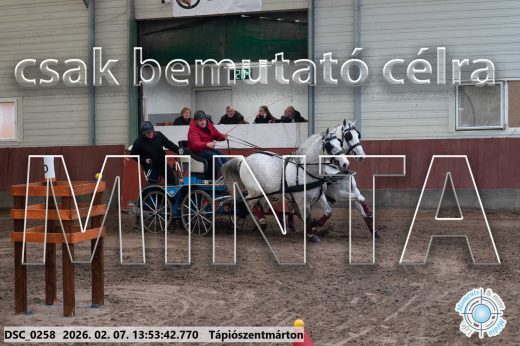 Mintakép 20260207-837