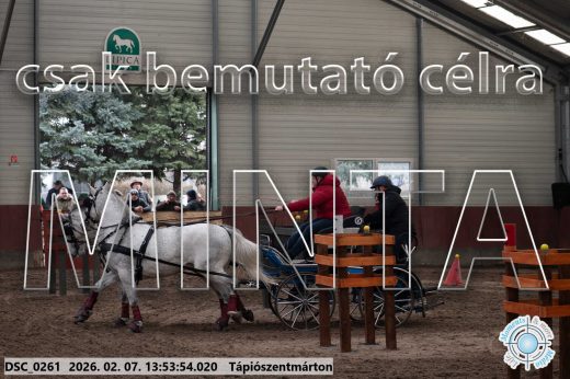 Mintakép 20260207-838