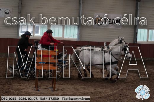Mintakép 20260207-844
