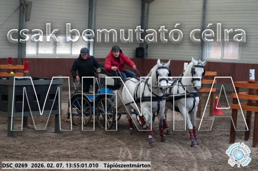 Mintakép 20260207-845