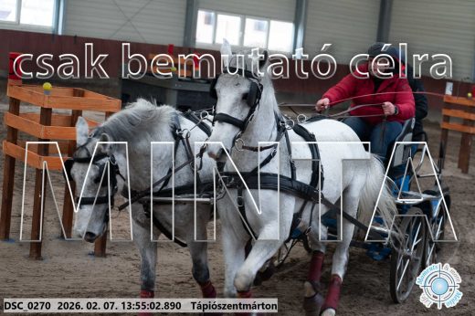 Mintakép 20260207-846