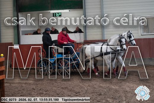 Mintakép 20260207-848