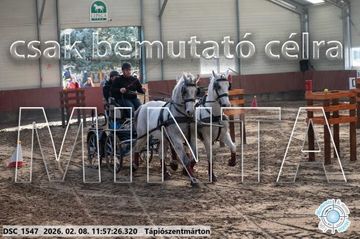 Mintakép 20260208-1448