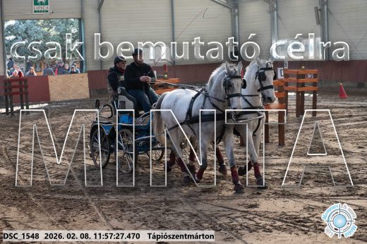 Mintakép 20260208-1449