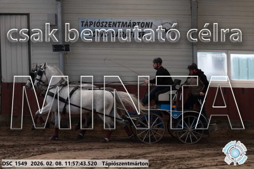 Mintakép 20260208-1450