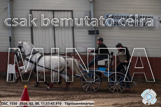Mintakép 20260208-1451