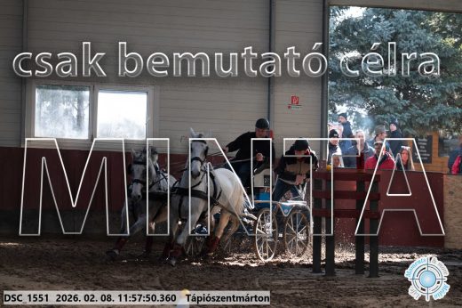 Mintakép 20260208-1452