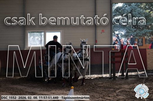 Mintakép 20260208-1453
