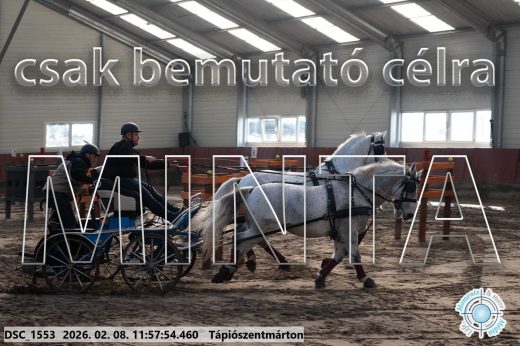 Mintakép 20260208-1454