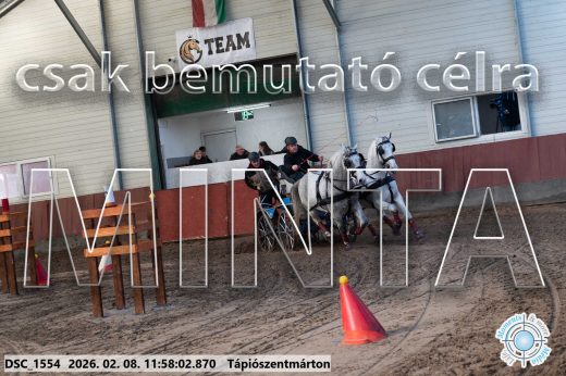 Mintakép 20260208-1455
