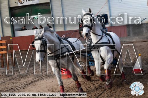 Mintakép 20260208-1456