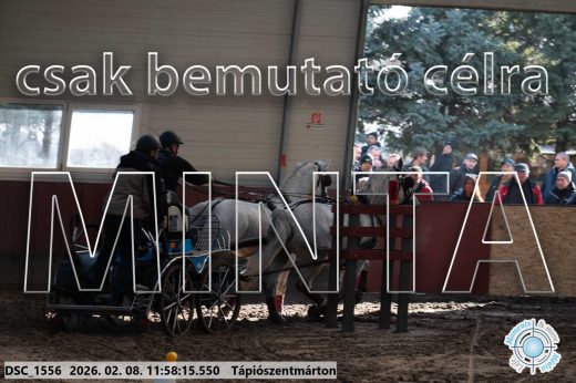 Mintakép 20260208-1457