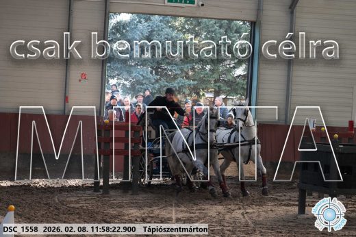 Mintakép 20260208-1458
