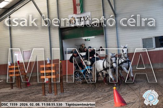 Mintakép 20260208-1459