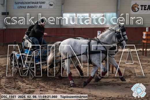 Mintakép 20260208-1461