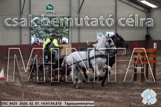Mintakép 20260207-856