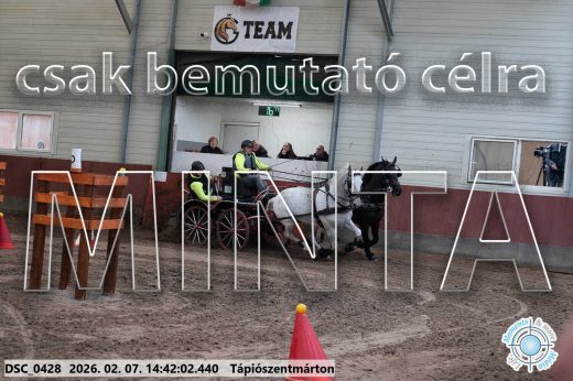 Mintakép 20260207-859