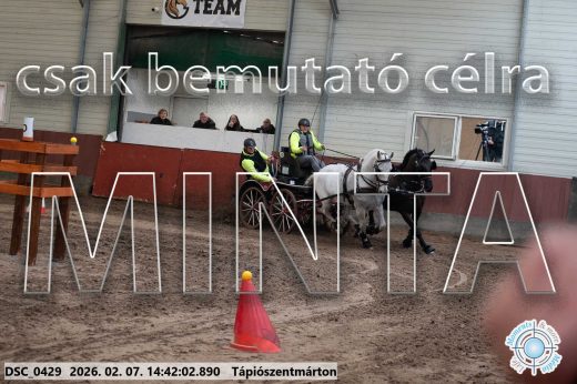 Mintakép 20260207-860