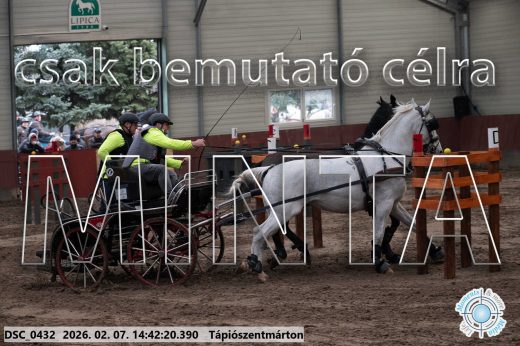 Mintakép 20260207-861