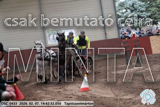 Mintakép 20260207-862