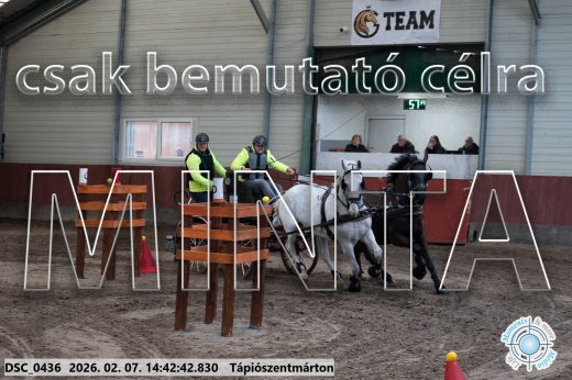 Mintakép 20260207-865