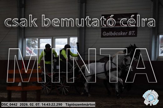 Mintakép 20260207-871