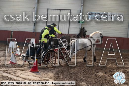 Mintakép 20260208-1476