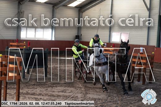 Mintakép 20260208-1481