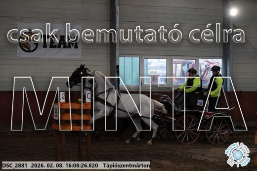 Mintakép 20260208-1489