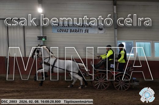 Mintakép 20260208-1491