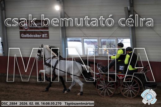 Mintakép 20260208-1492
