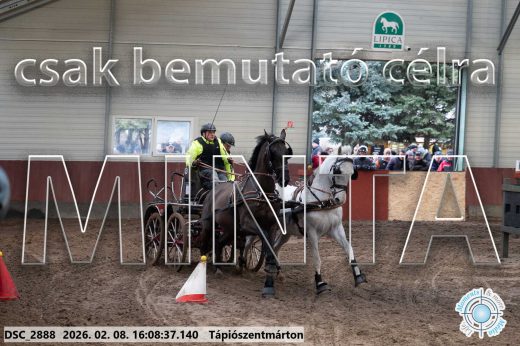 Mintakép 20260208-1496