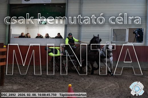 Mintakép 20260208-1500