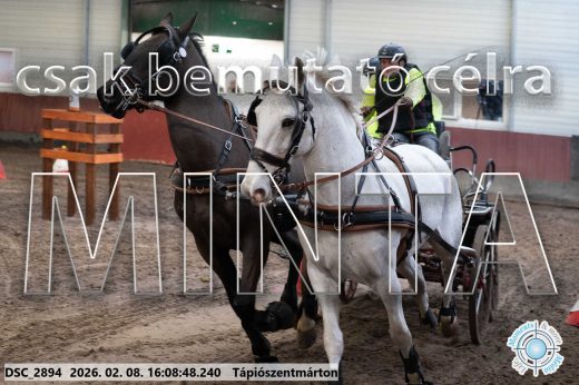 Mintakép 20260208-1502